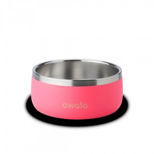 Owala 2 Pet Bowl Hyper Flamingo | NLD6332F