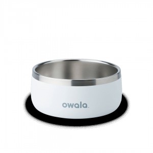 Owala 6 Pet Bowl Shy Marshmallow | NLJ6328P